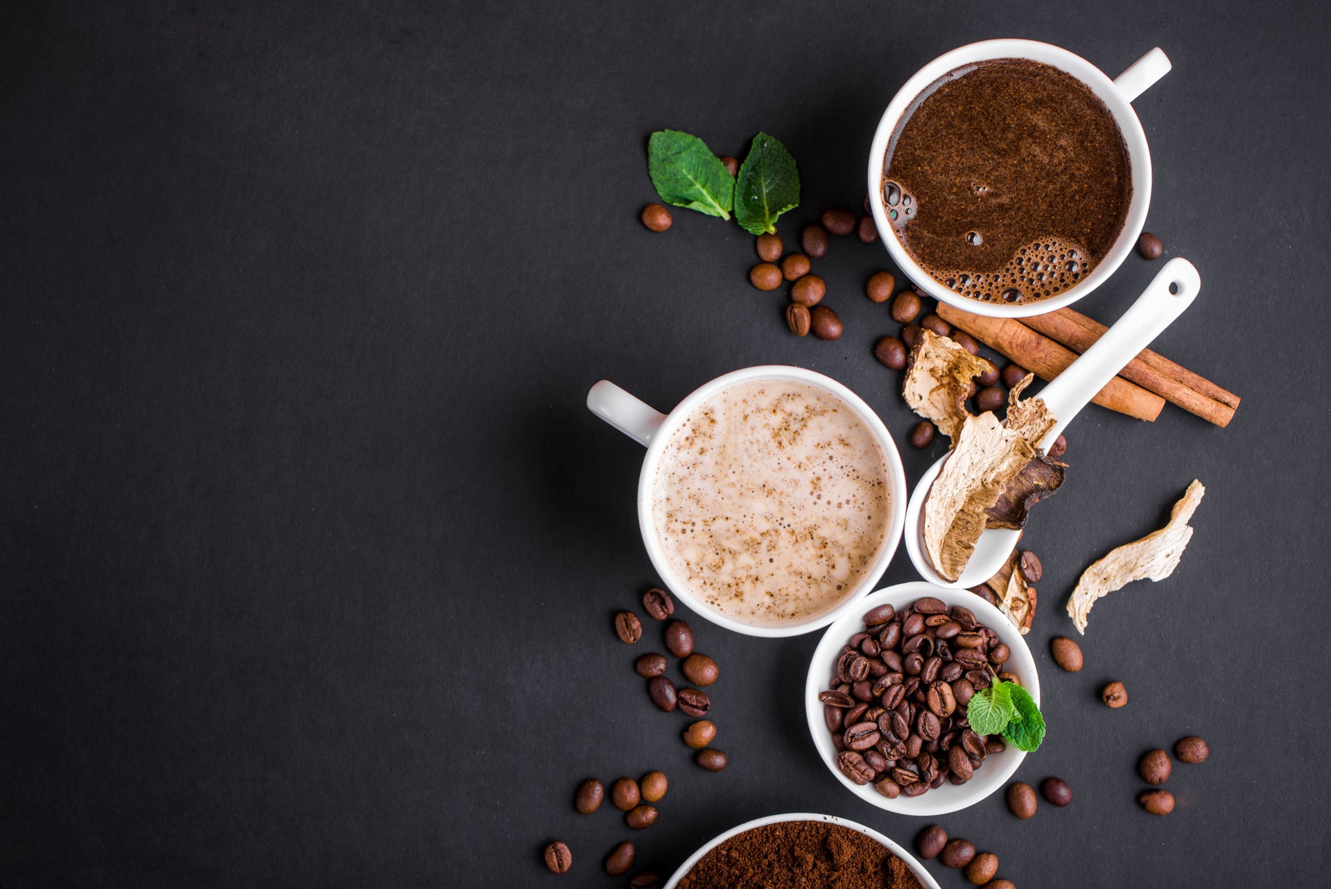Mushroom Chaga Coffee Superfood Trend-dry and fresh mushrooms and coffee beans on dark background with mint.